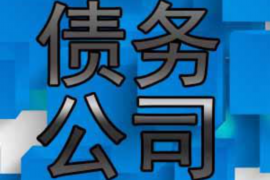 岳阳岳阳的要账公司在催收过程中的策略和技巧有哪些？